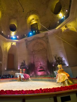 Take in a live show under the dome of the Horse Museum