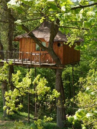 Sleep like a log up in the trees in Pierrefonds