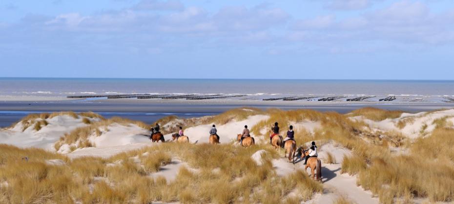 Sand dunes and wild landscapes for Somme Bay 