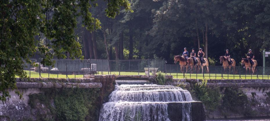 Gentle ride on a Henson horse in Château de Chantilly Park