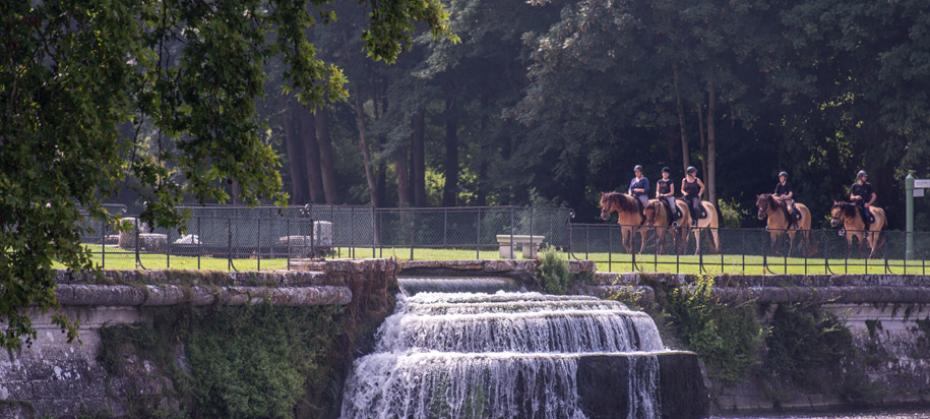 A Royal Entrance -1 Gentle ride on a Henson horse in Château de Chantilly Park