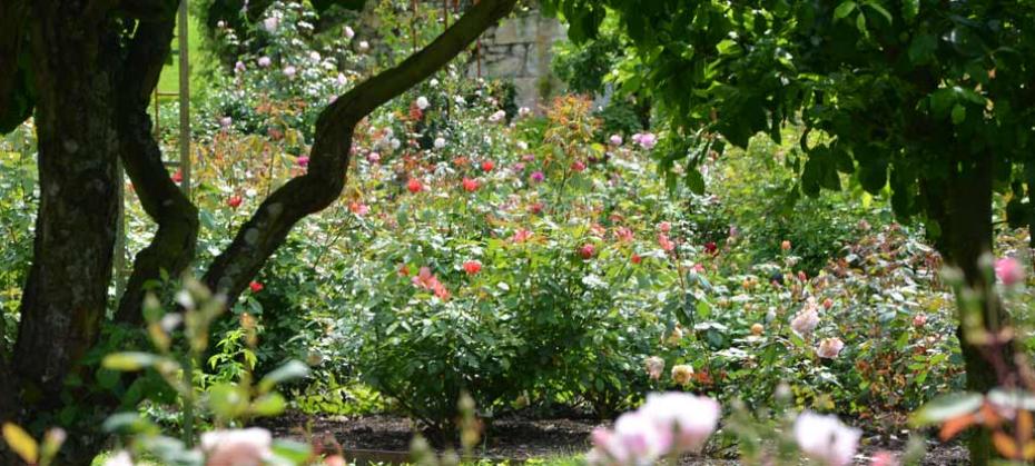 The Abbaye de Morienval 