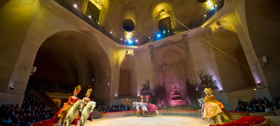  Haute Ecole dressage at the Musée du Cheval in Chantilly, France's equestrian capital