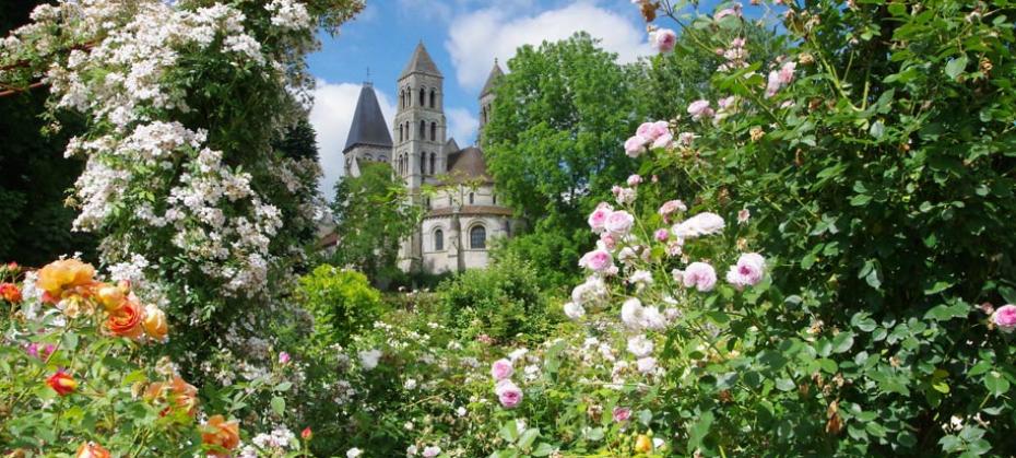 Visit a stunning rose garden dedicated to David Austin at Morienval