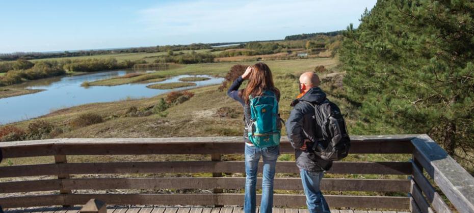 Visit one of France's key ornitological sites, the Parc du Marquenterre