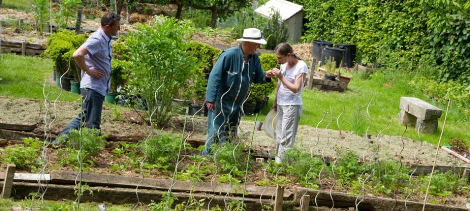 The chef Pierre Hugonnet at the Jardins des Ifs shares his gardening tips