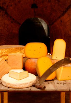 Cheeses maturing in an ageing cave.