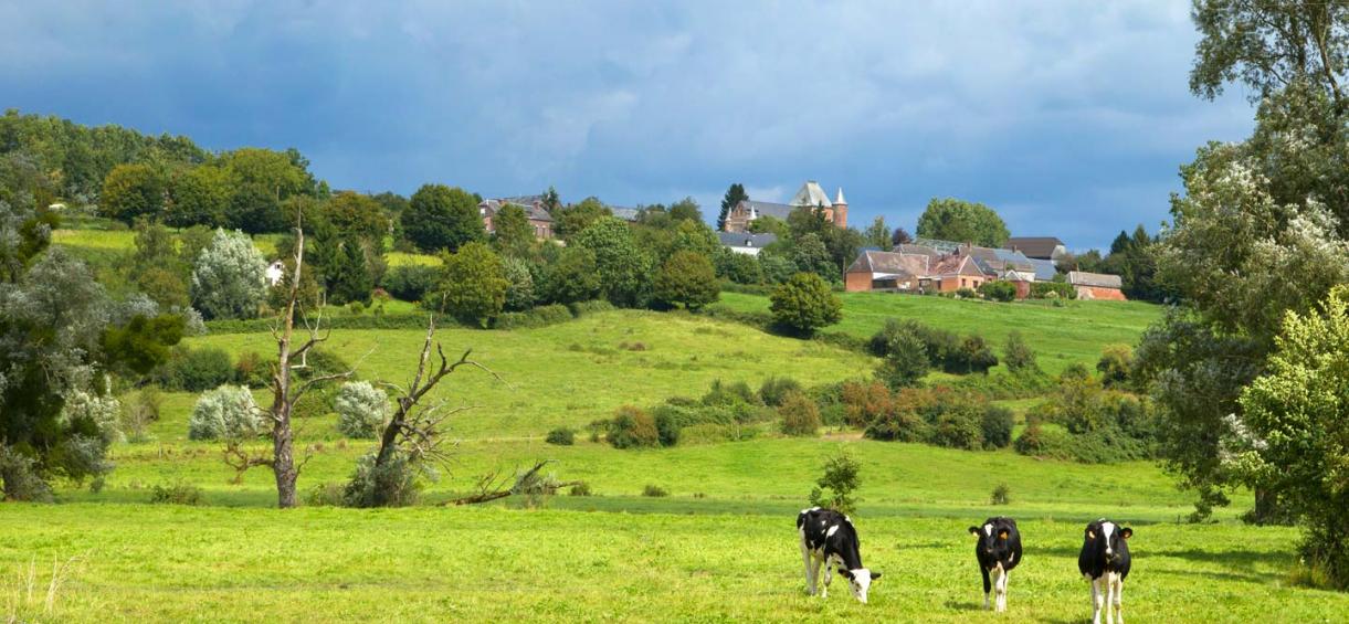 Le bocage verdoyant de la Picardie