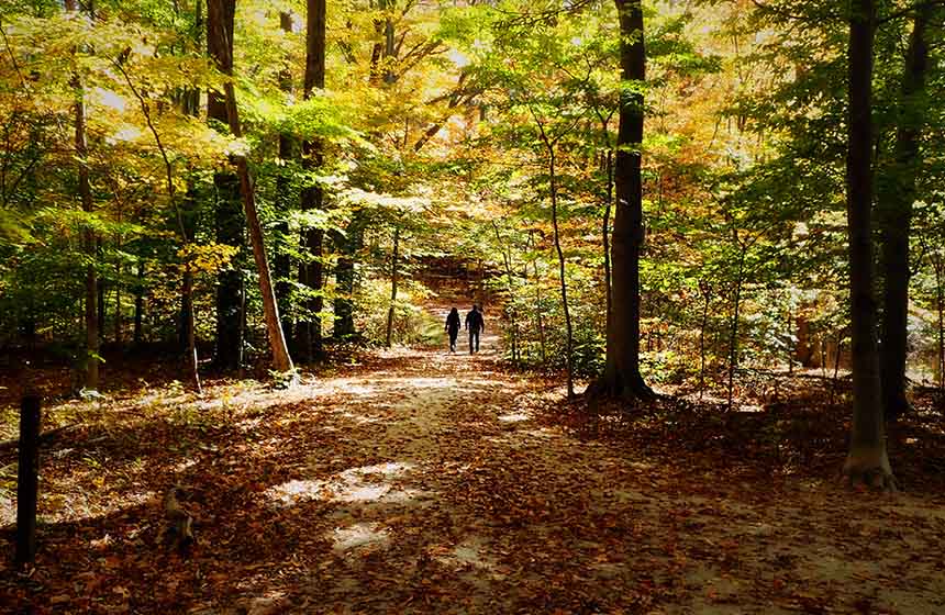 Chantilly forest nearby provides no end of beautiful walking and cycling routes