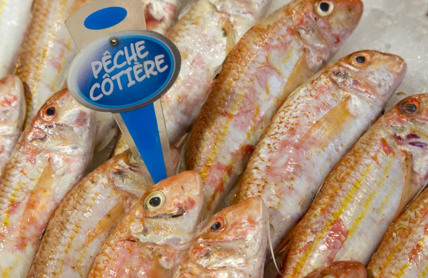 You won’t get fresher than Boulogne-sur-Mer’s fish market ‒ daily and straight off the boat!