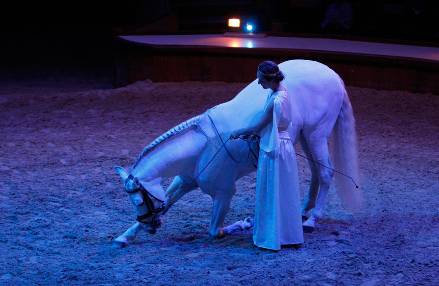 Chantilly Horses show