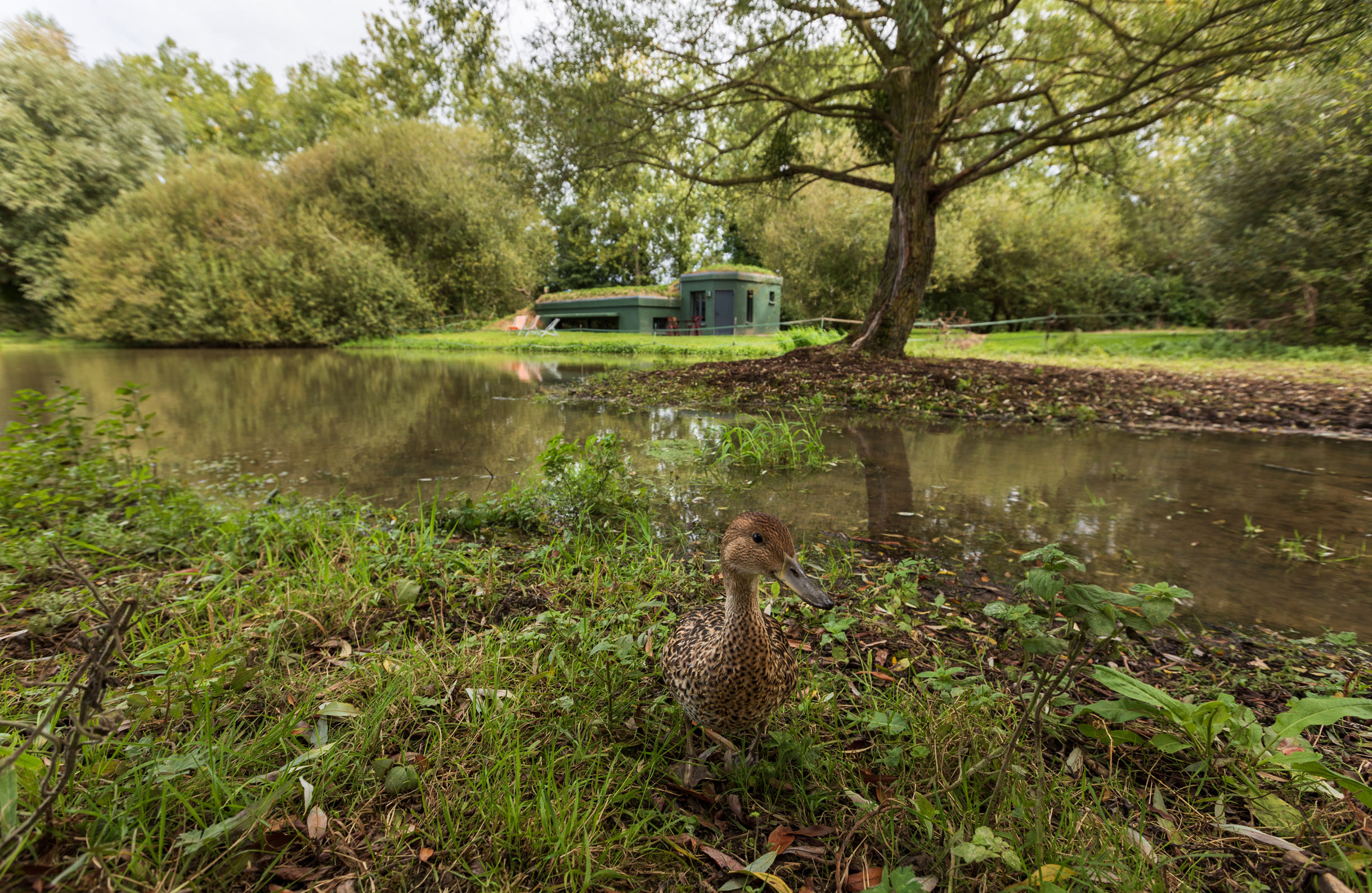 ‘Maison des Oiseaux’ at the Domaine du Lieu Dieu near the A28 motorway and the Somme Bay is an unusual place to stay in France and a luxury birdwatching hide