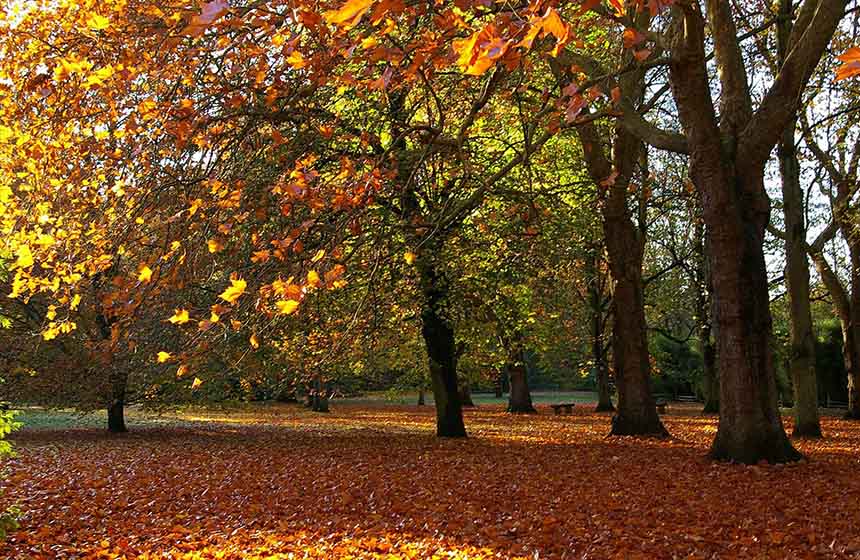 Enjoy a romantic stroll in Chateau de la Tour's stunning grounds