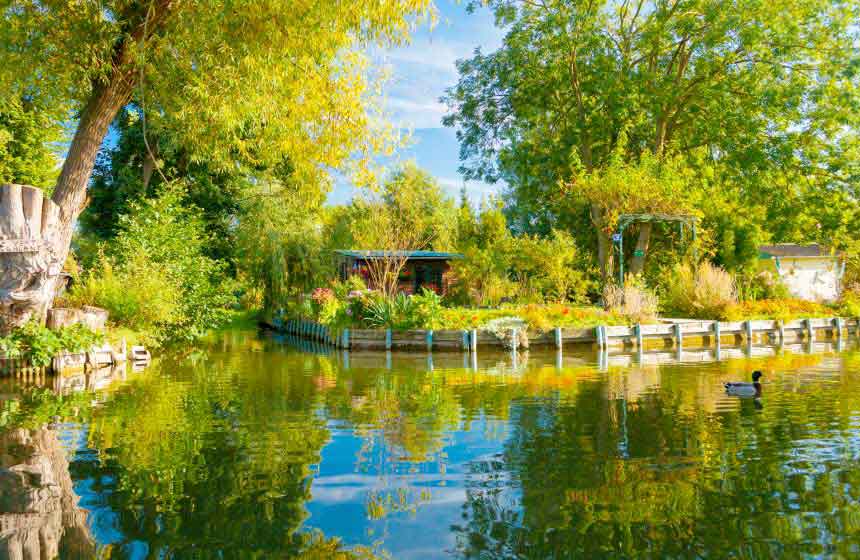 Hire a boat to explore Amiens' unique floating gardens, known as the 'Hortillonnages'