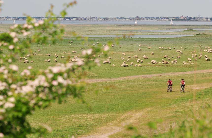 Cycling in the Bay's vast open spaces