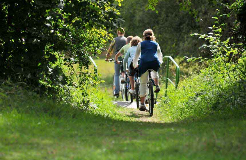 At one with nature cycling in the forest