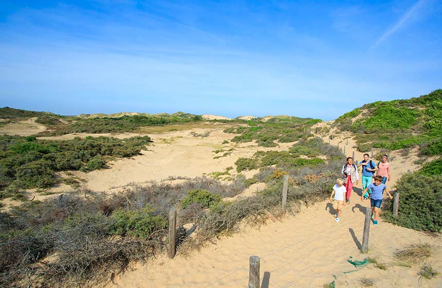 Explore Dunes de la Slack near Wimereux - nature's playground for the children