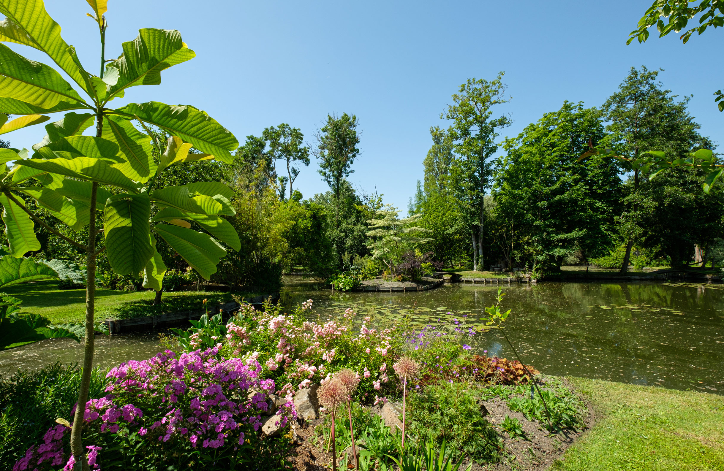 The garden surrounding your Amiens holiday cottage ‘Chés-Mouch'à-Miel’ in Amiens’ hortillonnages or floating gardens