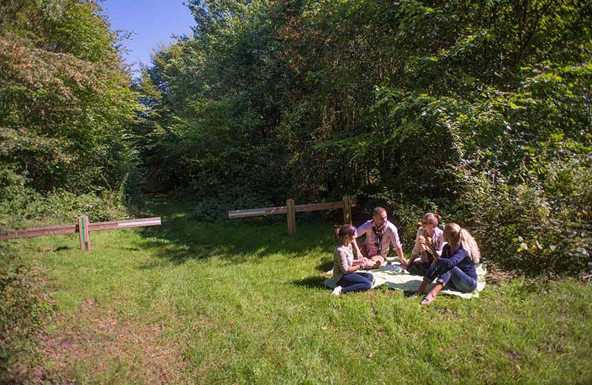 Find the perfect picnic spot right on the edge of the forest 
