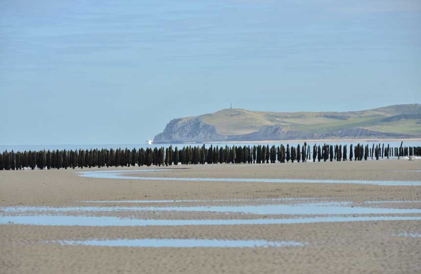 Make the most of your weekend break to enjoy the great outdoors together and blow away the cobwebs on the Opal Coast