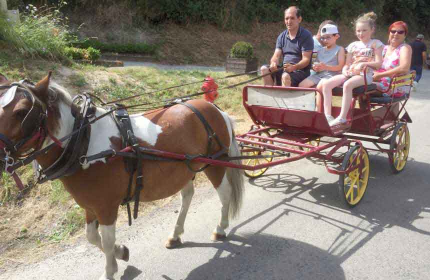 Let Polly and Choupinette take you on a horse-drawn cart ride at Camping de la Trye campsite near Beauvais