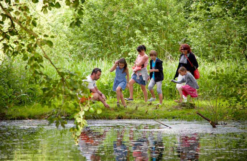 Enjoy the ponds and marshes nearby; there’s nothing like a family walk to bring all the generations together!