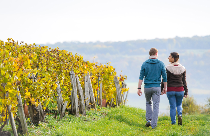 Balade en amoureux dans les vignobles du sud de l'Aisne
