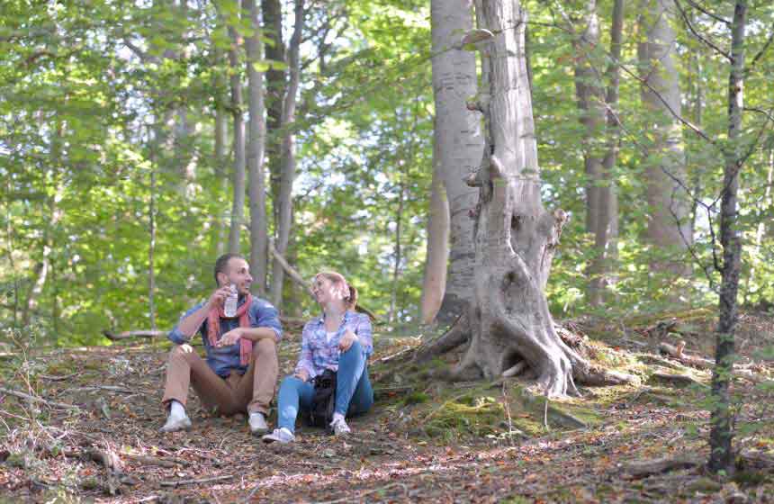 Visit Mother Nature in the nearby Desvres forest during your romantic weekend break     