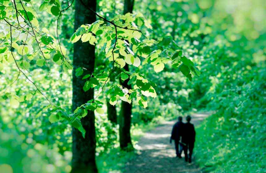 Be sure to allow time for a walk in Desvres forest during your romantic weekend break in Northern France