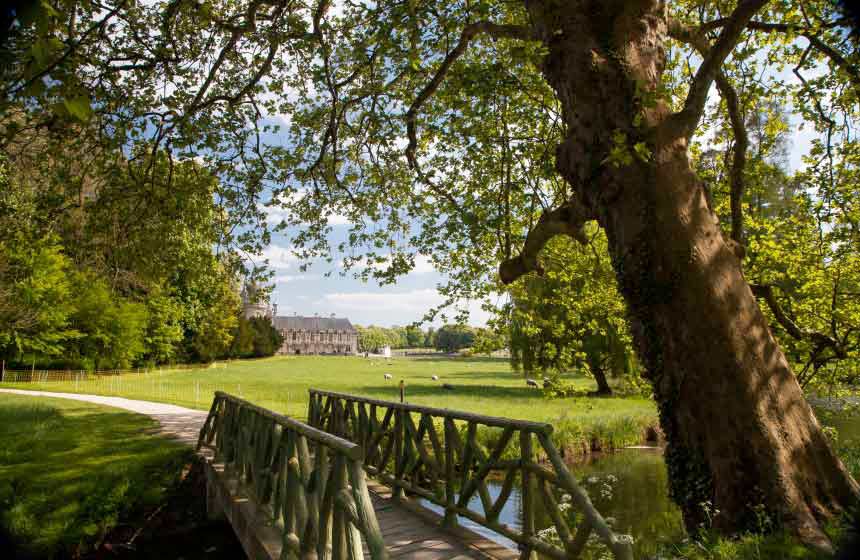 Enjoy a romantic stroll in Château de Chantilly’s vast grounds