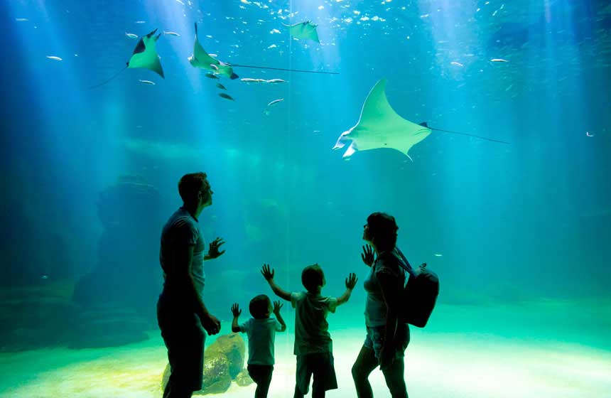 Nausicaa, Europe's largest aquarium