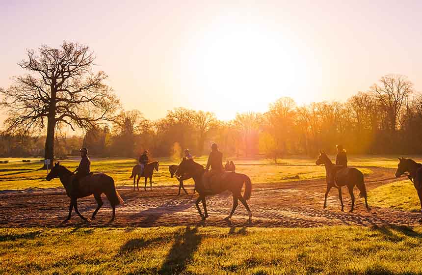 Early birds can watch Chantilly's famous racehorses in training