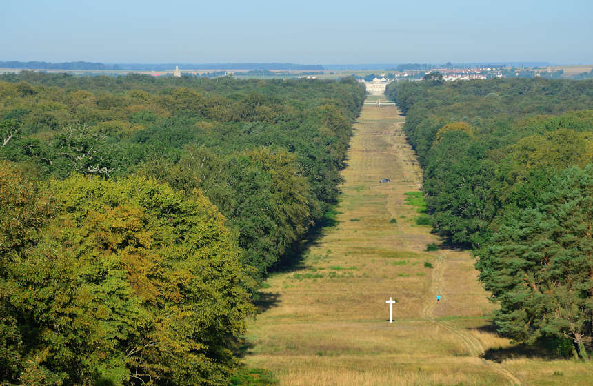 A rejuvenating walk at the Allée des Beaux-Monts in Compiègne