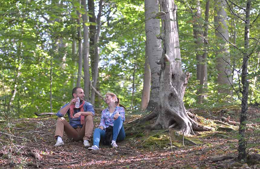 Lose yourselves in nature on a romantic walk at the heart of Chantilly forest
