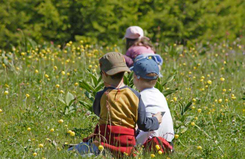 With a pretty meadow behind the property, your family gathering at Manoir-du-Bolgaro gite is the perfect opportunity to instil in children a love of the great outdoors