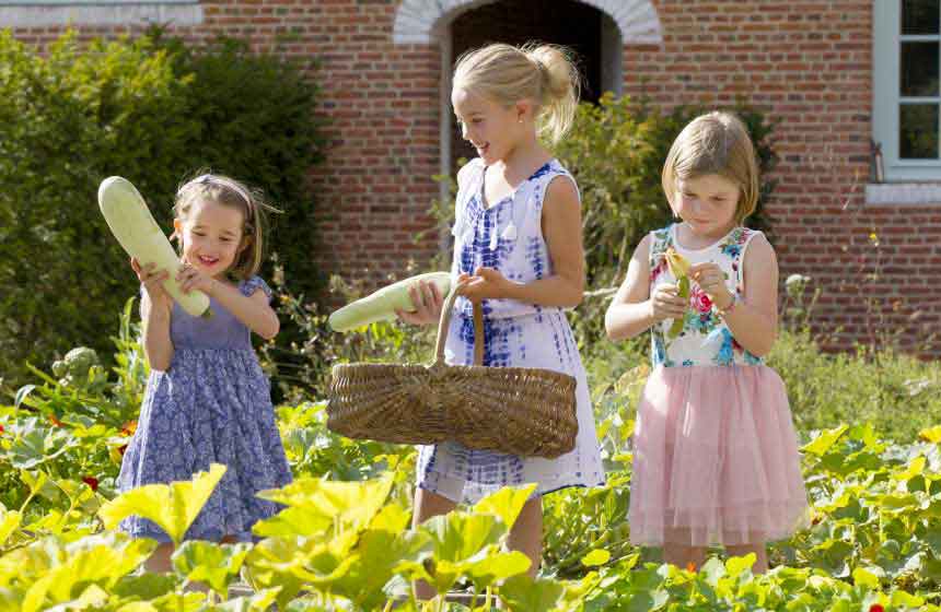 Seasonal vegetables are often up for grabs at Manoir-du-Bolgaro! The kids will enjoy helping you pick them, and owner Françoise will show you where