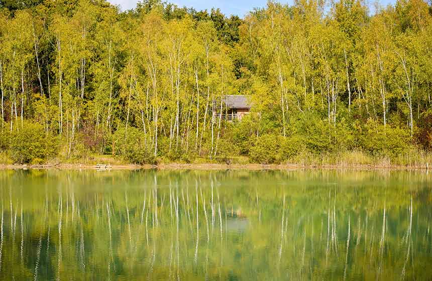 Your chance to immerse yourselves in nature is at Cabanes de La Réserve