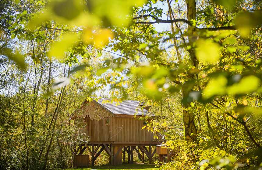 You'll feel wrapped in calming nature during your cabin stay