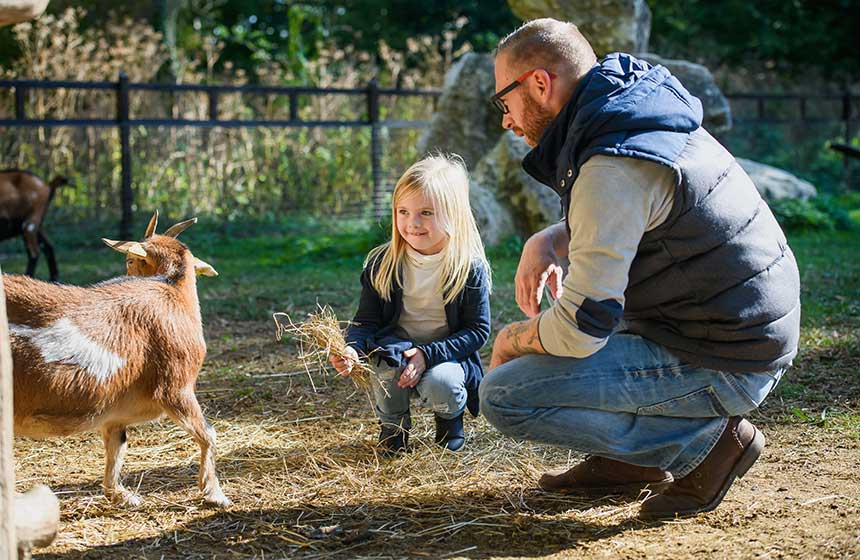 The children will be in their element meeting the goats during your family cabin stay