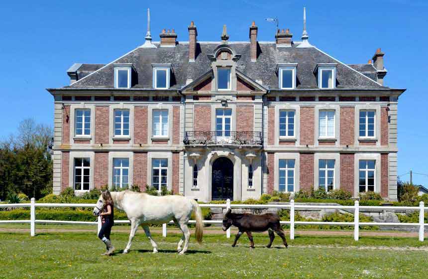 Domaine de Vadancourt - Beautiful parkland with animals - Maissemy