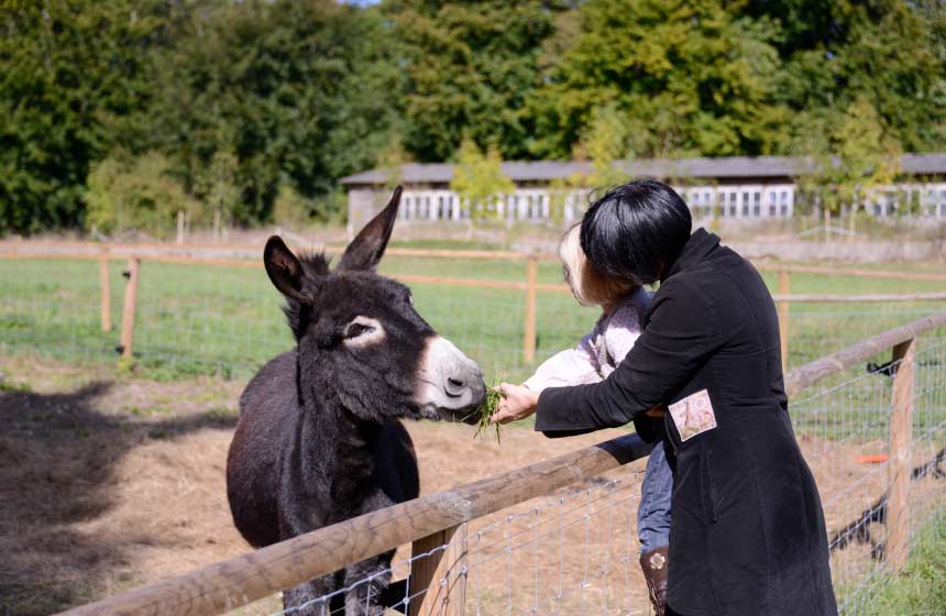 The children will be delighted to meet the animals on your family treehouse holiday in France