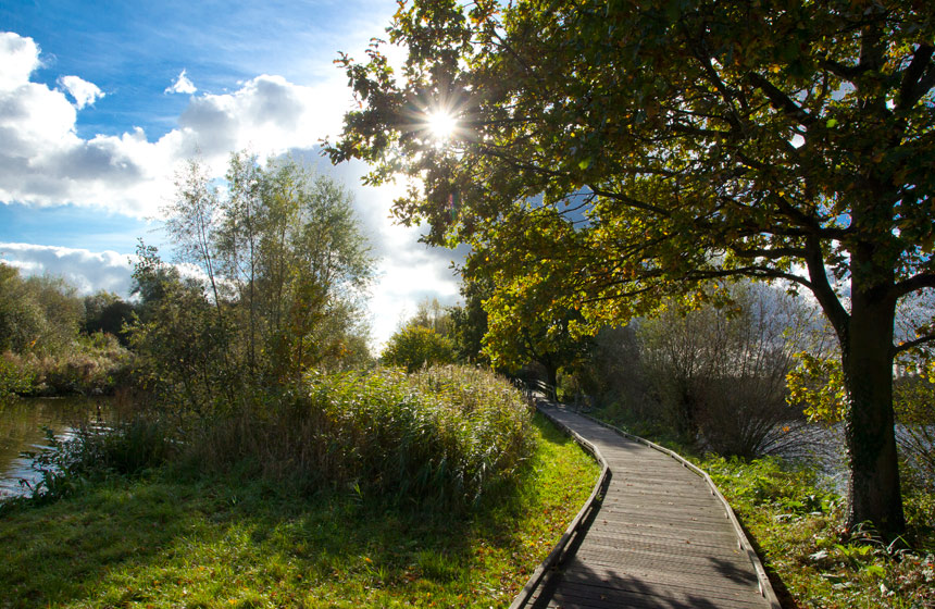 Follow the walking routes along the UNESCO-listed Marais Audomarois, a vast biosphere wetlands reserve in Northern France