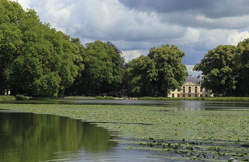 On your stroll around the park stop to admire its stunning age-old trees