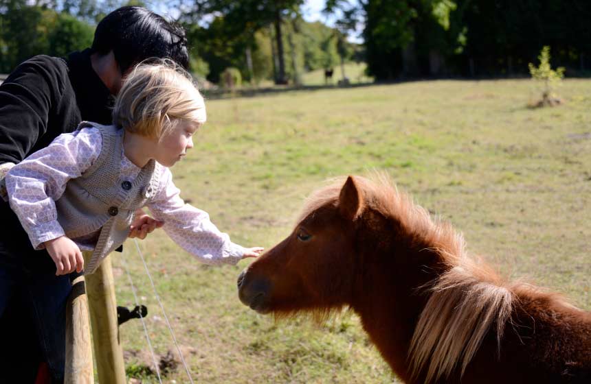 The children will love meeting the ponies at Chateau des Tilleuls