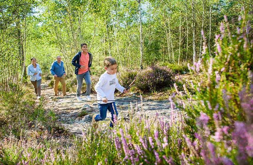 Enjoy a family walk in Northern France’s Ermenonville Forest