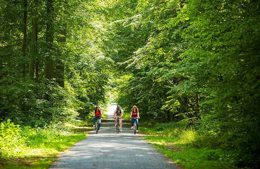 Hire bikes from Hôtel de l'Abbaye in Longpont and head off to explore the Retz forest 