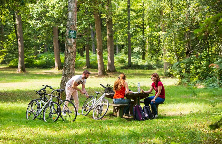 Hire bikes from Hôtel de l'Abbaye in Longpont and head off to explore the Retz forest 