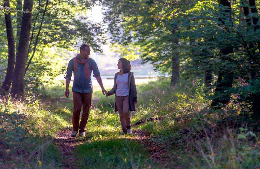 Walking in the Forêt de Vauclair