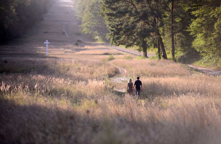 'Percée des Beaux-Monts' is an extraordinary and iconic walkway with a view all the way of Chateau de Compiègne