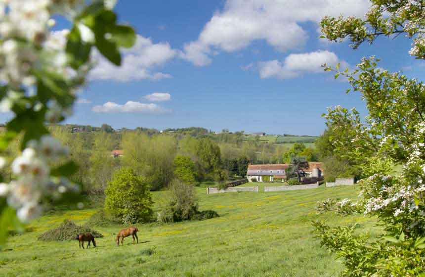 Your rural retreat is in a privileged location slightly inland from Le Touquet and Boulogne sur Mer in Northern France